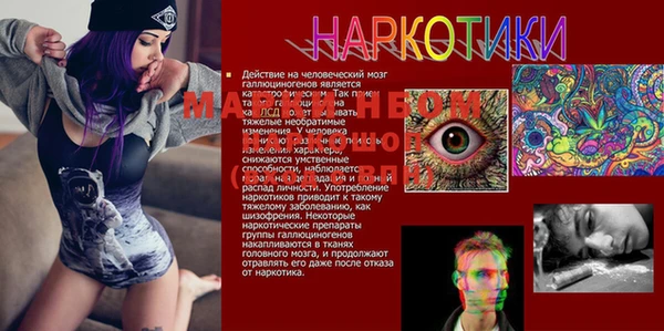 МДПВ Михайлов