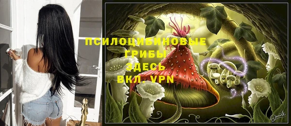 MDMA Premium VHQ Михайловка