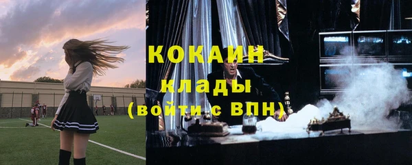 МДПВ Михайлов