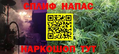 spice Дубна