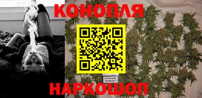 spice Дубна