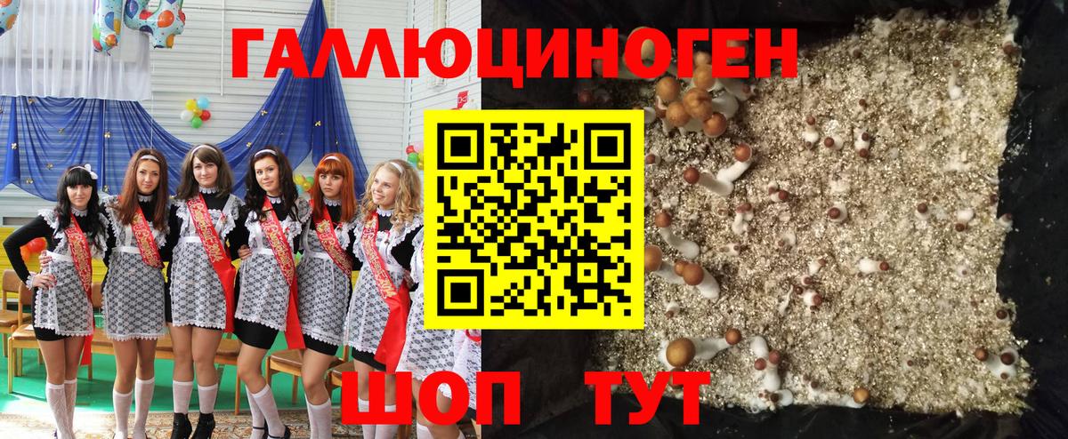 Галлюциногенные грибы MAGIC MUSHROOMS  Дюртюли 