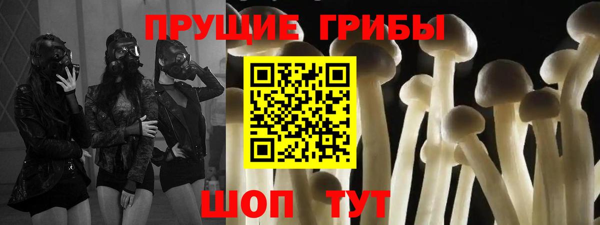 Дюртюли  Галлюциногенные грибы Psilocybe  Галлюциногенные грибы ЛСД  Вход с VPN 