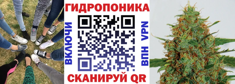 Канабис THC 21%  купить наркотики цена  Дюртюли 
