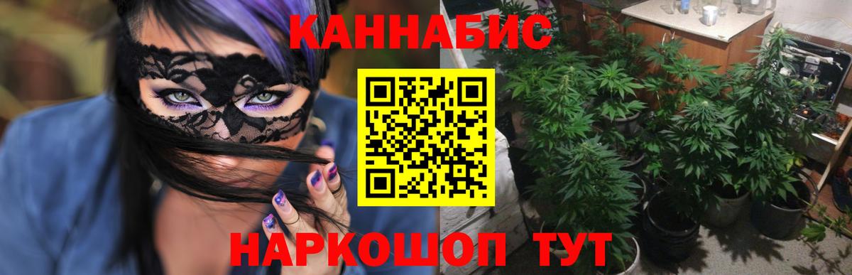 Шишки марихуана планчик  Канабис гибрид  Вход с VPN  Шишки марихуана ГИДРОПОН  Дюртюли 